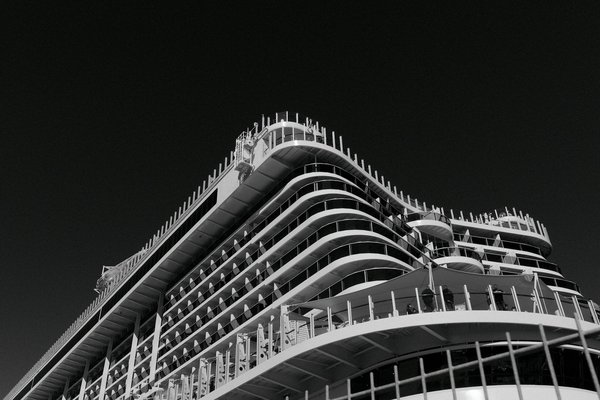 Discover Hidden Botanical Wonders: Your Ultimate Camping Guide to Rare Flora in the UK