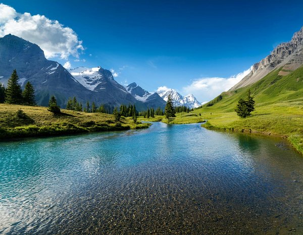 Unforgettable Folk Music Festival Getaways: Explore the Top UK Vacation Homes for an Epic Adventure!