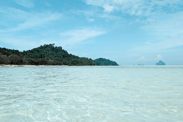 Discover Somerset's Culinary Treasures: Your Essential Guide to the Finest Local Ciders and Flavors